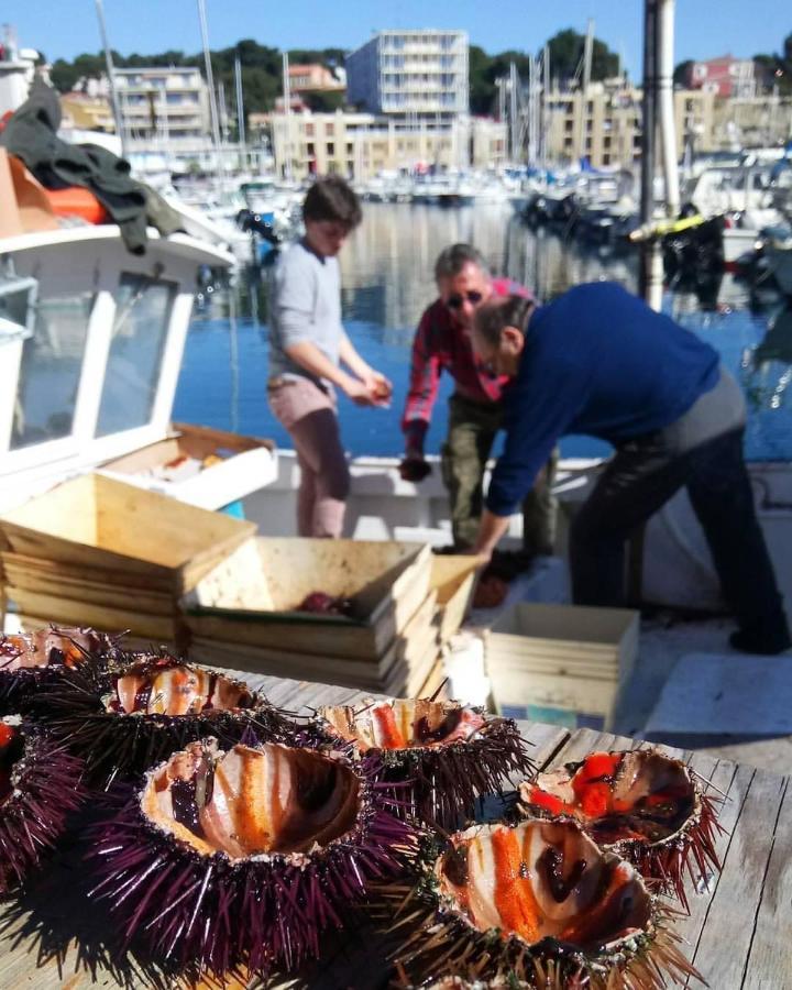 200M De La Plage ,3Mn Du Port A 50M Du Centre Ville Кари Ле Рует Екстериор снимка